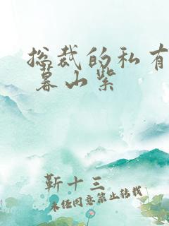 总裁的私有宝贝 暮山紫