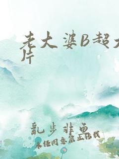 老大婆B超大图片