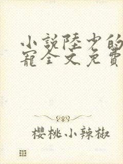 小说陆少的心尖宠全文免费阅读