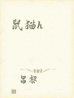 鼠猫h