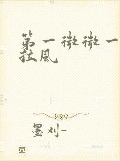 第一微微一笑很拉风