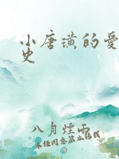 小唐璜的爱情历史