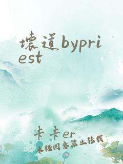 坏道bypriest