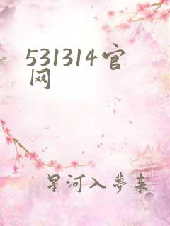 531314官网