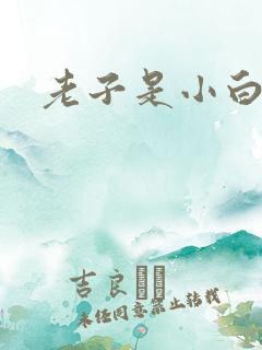 老子是小白脸