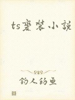 ts变装小说