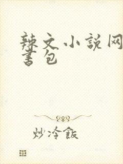 辣文小说网第二书包