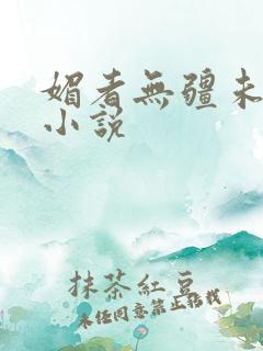媚者无疆未删减小说