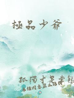 极品少爷