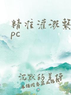 精准灌溉系统npc