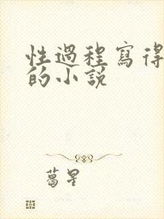 性过程写得详细的小说