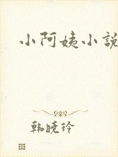 小阿姨小说