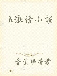 h激情小说