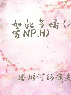 如此多娇 (全处NP.H)