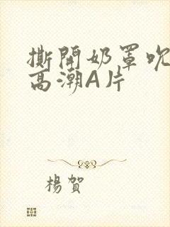 撕开奶罩吮奶头高潮A片