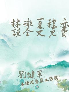 林微夏程亦风小说全文免费