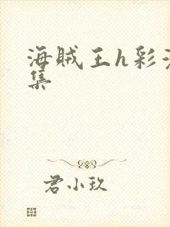 海贼王h彩漫画集