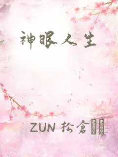神眼人生