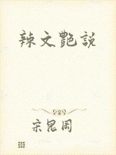 辣文艳说