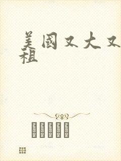 美国又大又长又租