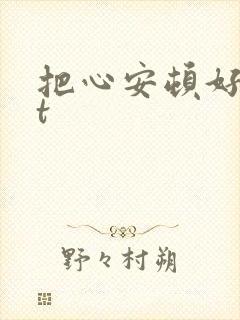把心安顿好txt
