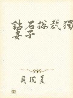 钻石总裁独宠小妻子