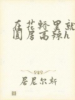 在花轿里就开始圆房高辣h