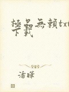 极品无赖txt下载