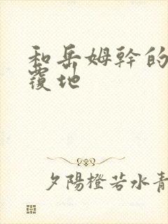 和岳姆干的翻天覆地