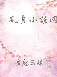 风月小说网