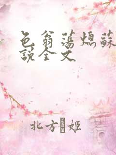 色翁荡熄苏钥小说全文