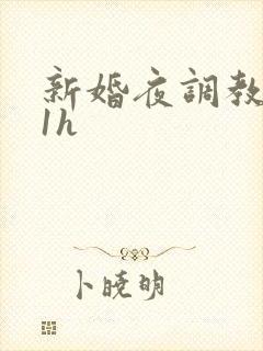 新婚夜调教1v1h