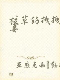 校草的拽拽未婚妻