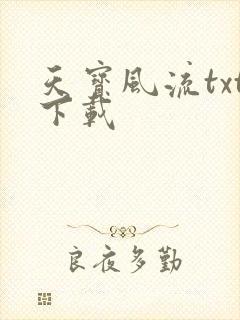 天宝风流txt下载