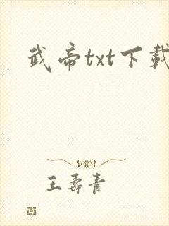武帝txt下载