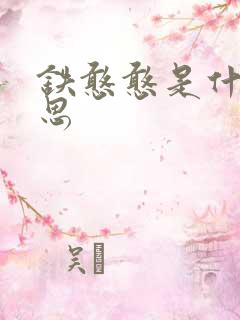 铁憨憨是什么意思