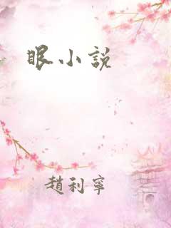 眼小说