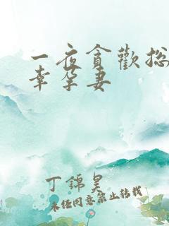 一夜贪欢总裁的幸孕妻