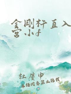 金刚杵直入莲花宫小f