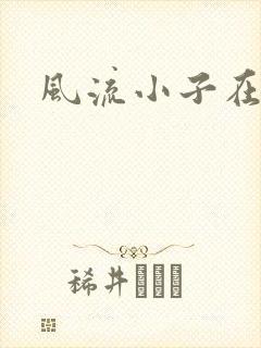 风流小子在异世