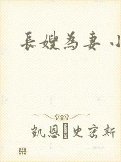 长嫂为妻 小说