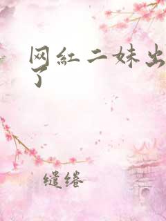 网红二妹出啥事了