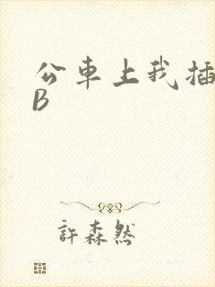 公车上我插上骚B
