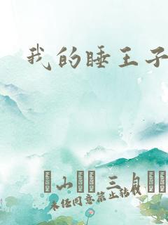 我的睡王子殿下