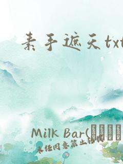 素手遮天txt