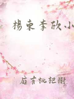 杨东李欣小说