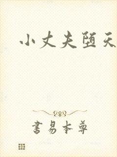 小丈夫堕天