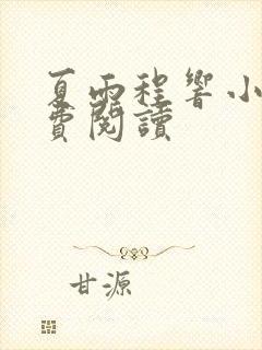 夏雨程响小说免费阅读