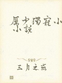 厉少独宠小娇妻 小说