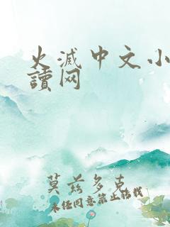 火灭中文小说阅读网